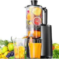 DSP Slow Press Juicer/ Vegetable & Fruit Extractor Juicer Machine.