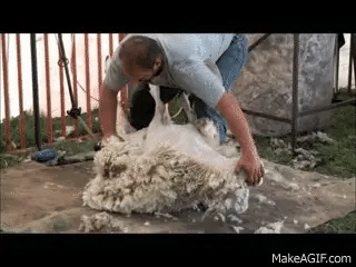 Powerful Electric Sheep Hair Shearing Clipper Kit Shear Wool Cut