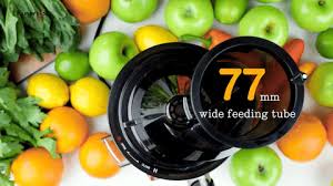 DSP Slow Press Juicer/ Vegetable & Fruit Extractor Juicer Machine.