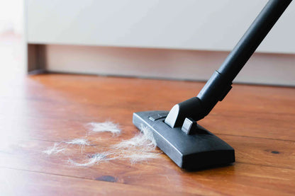 Heavy duty Hitachi vacuum cleaner 25L for deep cleaning carpet floor