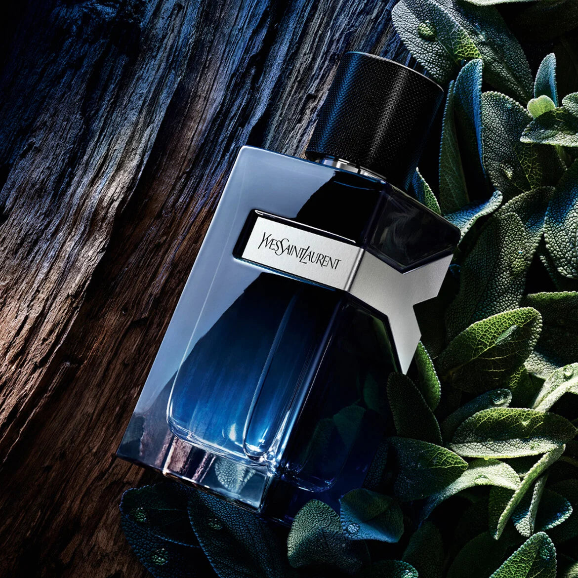 YSL Perfume for Men